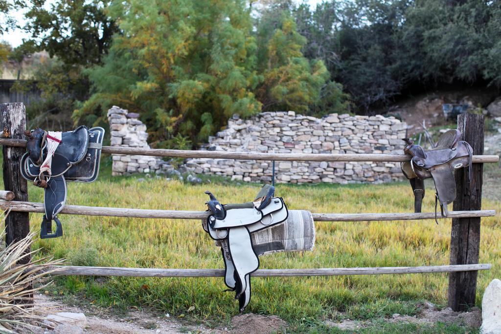 Grand Canyon Western Ranch Meadview Buitenkant foto