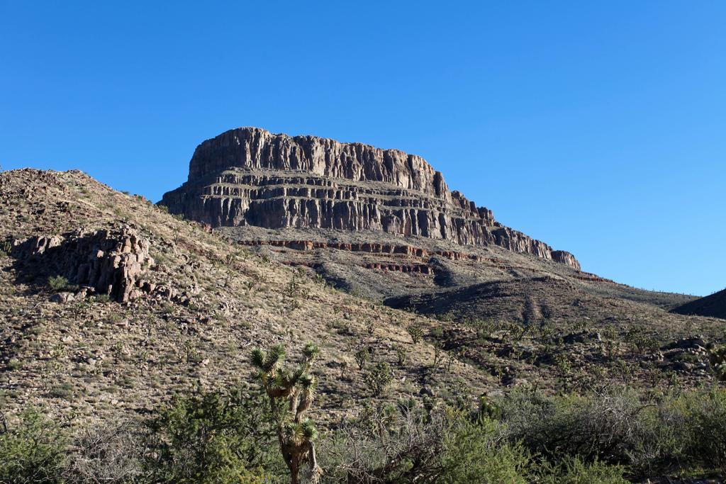 Grand Canyon Western Ranch Meadview Buitenkant foto