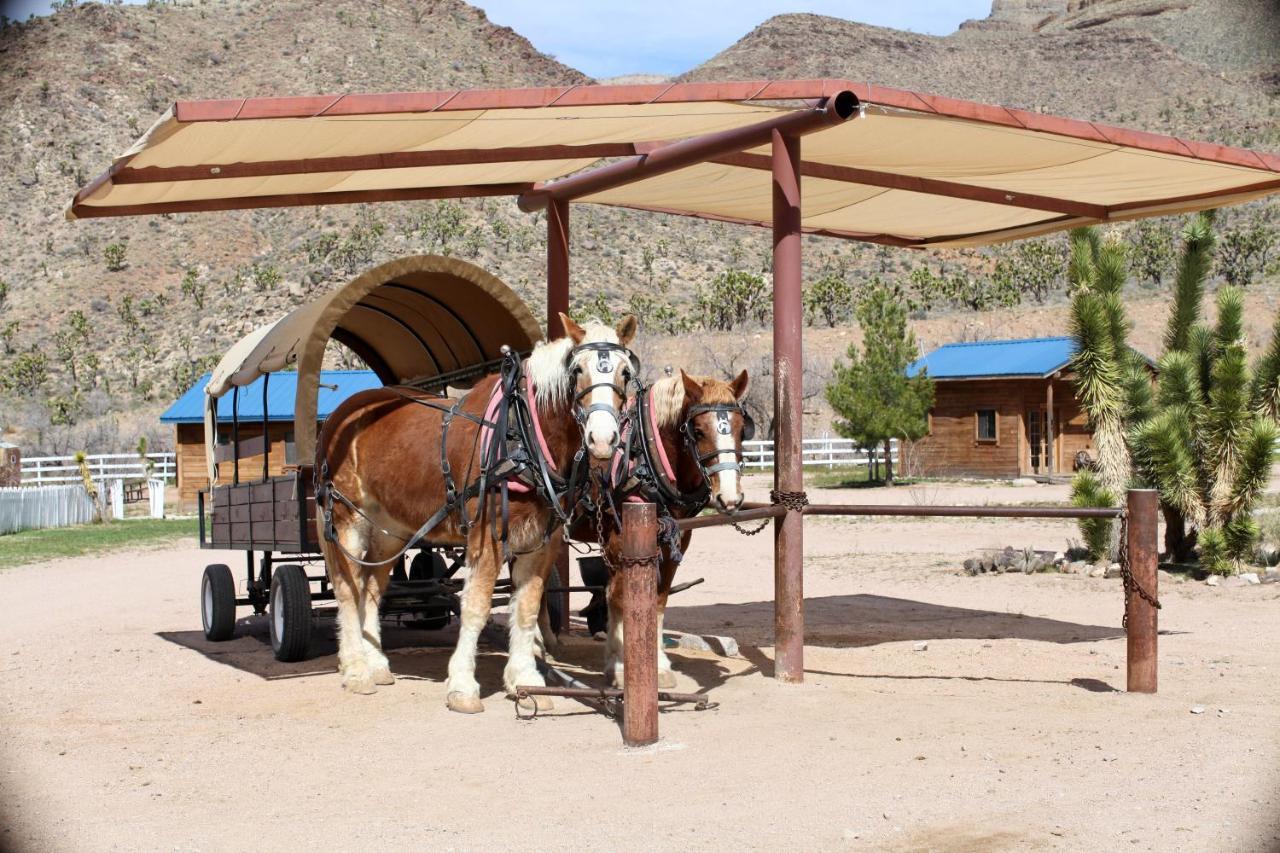 Grand Canyon Western Ranch Meadview Buitenkant foto
