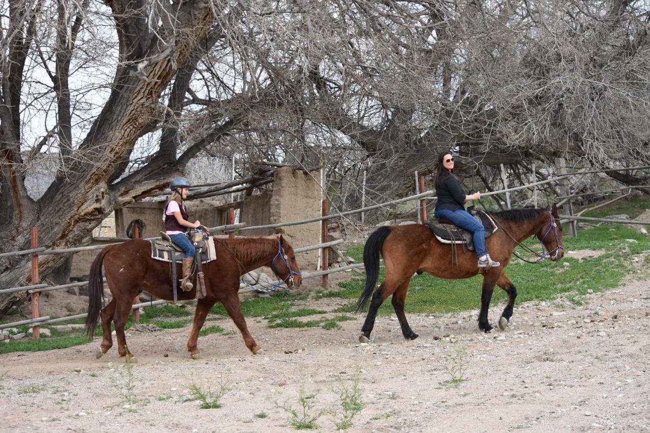 Grand Canyon Western Ranch Meadview Buitenkant foto
